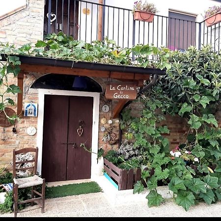 B&B La Casa In Campagna Collecorvino Luaran gambar