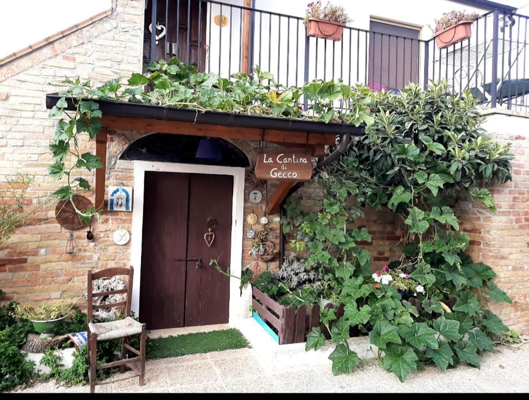B&B La Casa In Campagna Collecorvino Luaran gambar