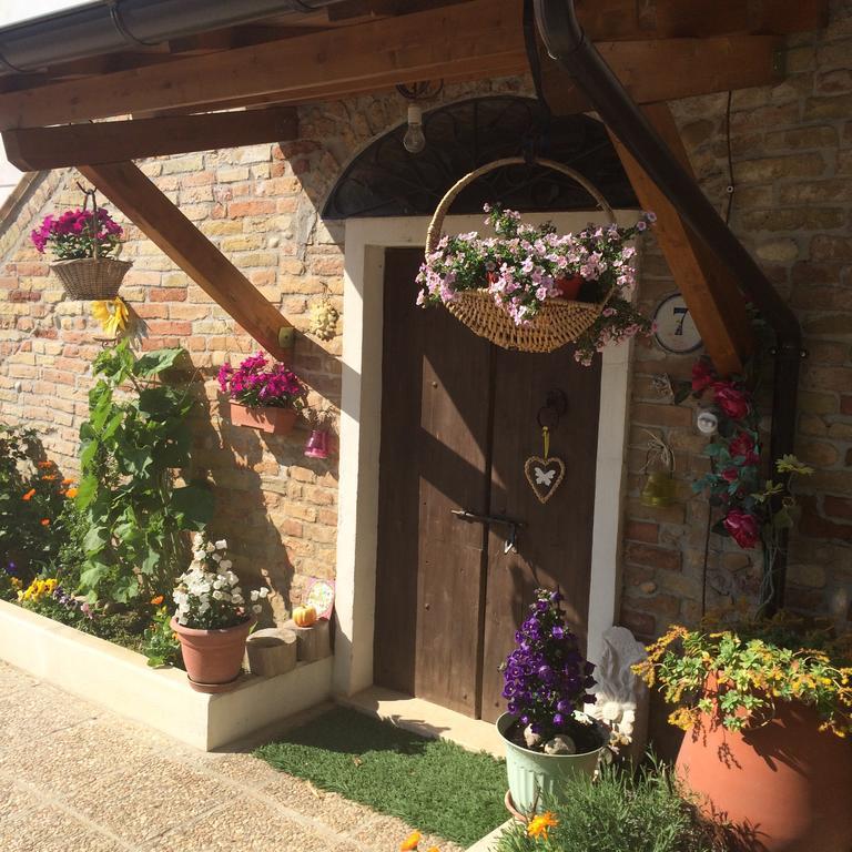 B&B La Casa In Campagna Collecorvino Luaran gambar