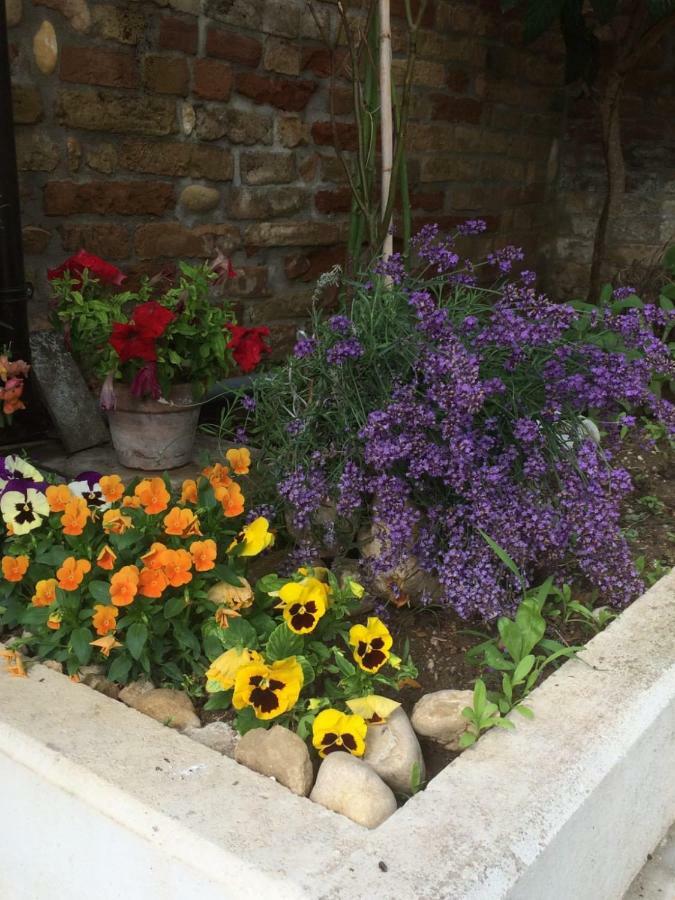 B&B La Casa In Campagna Collecorvino Luaran gambar